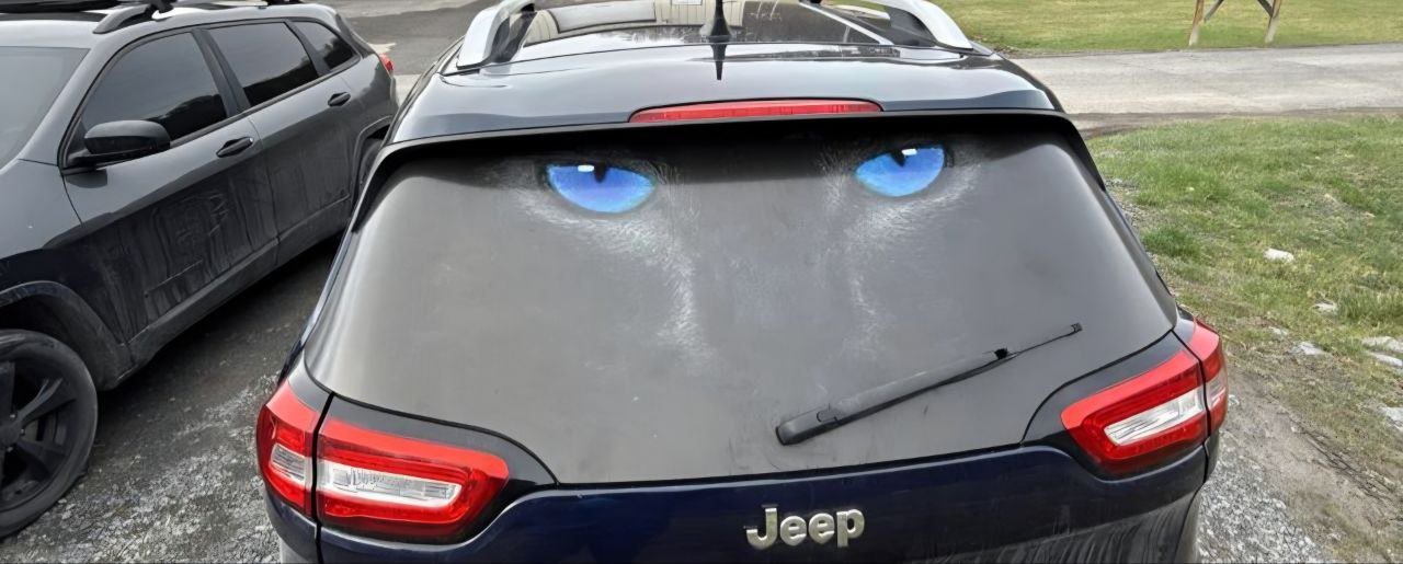 Jeep Cherokee Custom Eyes