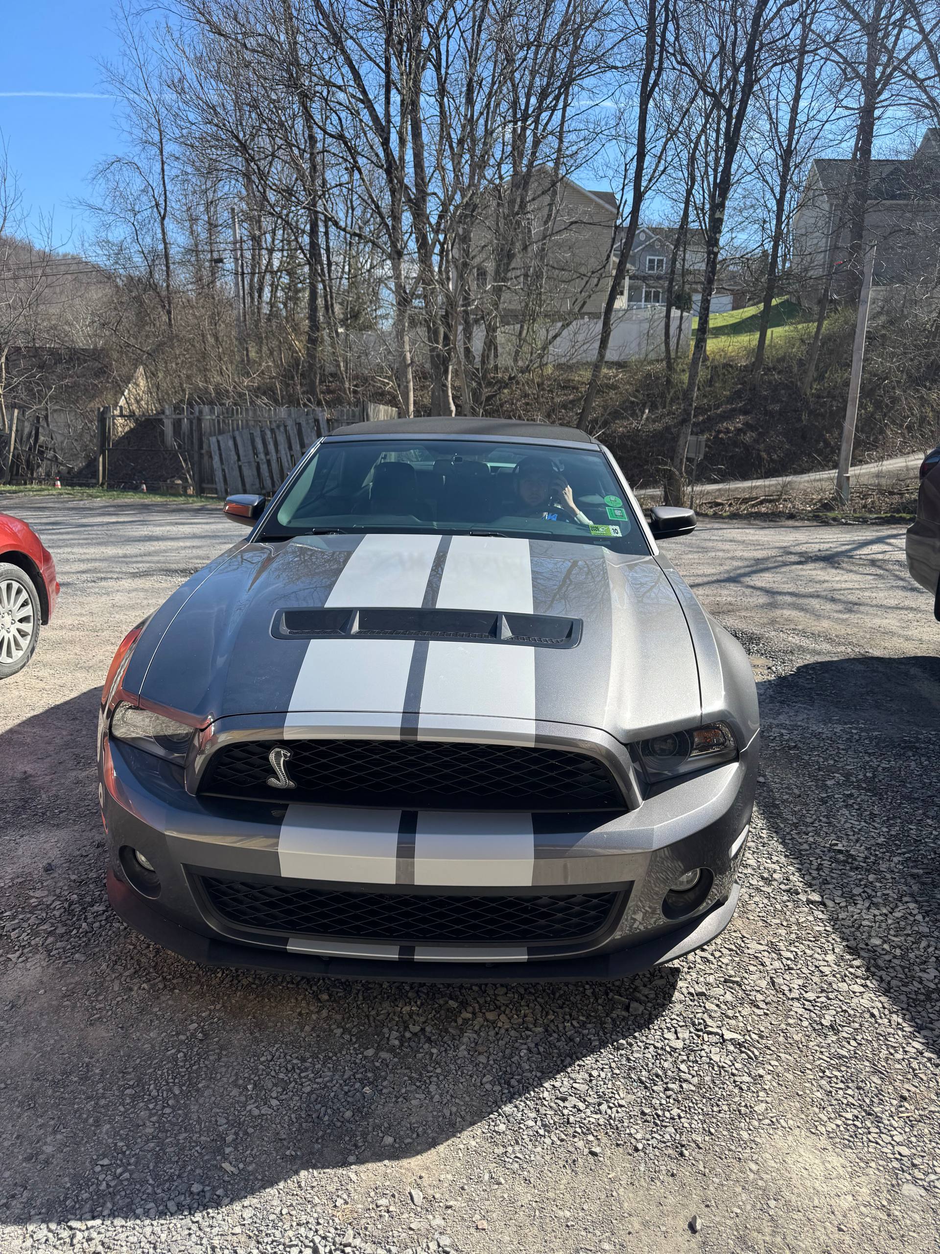 Shelby Mustang Racing Stripes